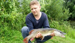 windows_pike